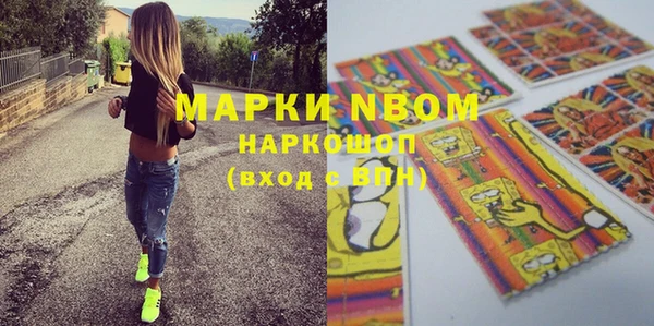 молекула духа Вяземский