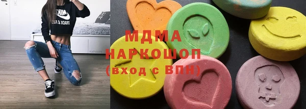 молекула духа Вяземский