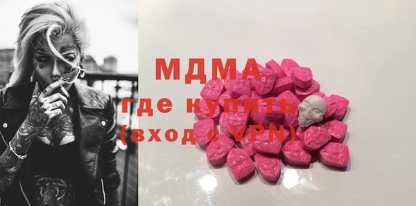 молекула духа Вяземский