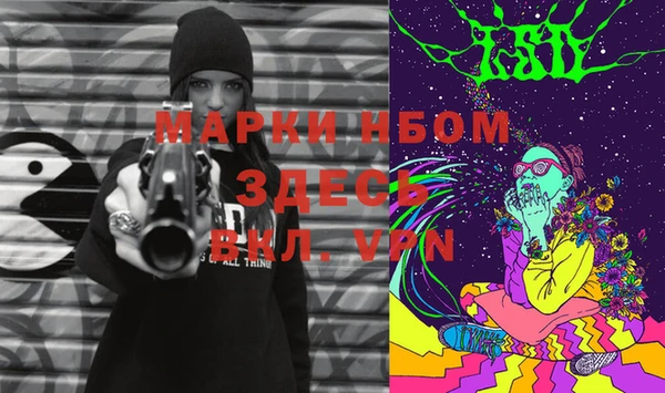 молекула духа Вяземский