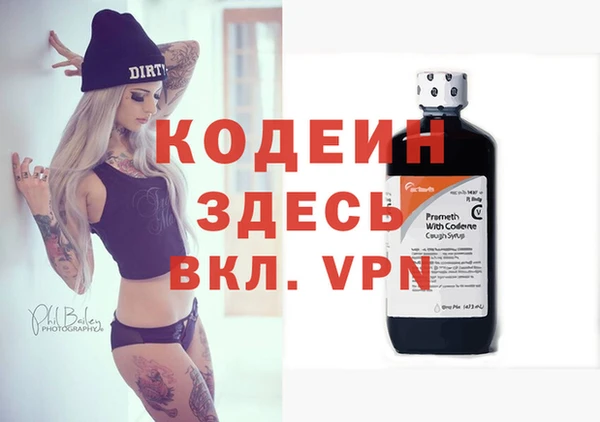 молекула духа Вяземский