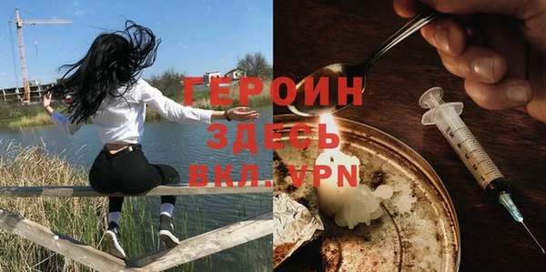 молекула духа Вяземский