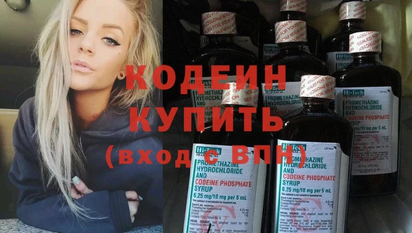 молекула духа Вяземский