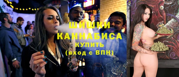 молекула духа Вяземский