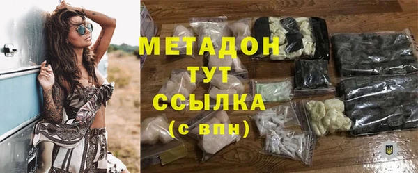 молекула духа Вяземский