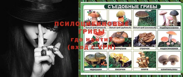 тгк Верея