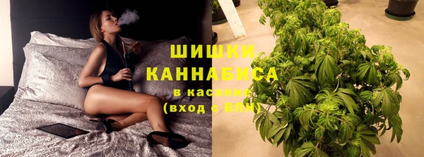молекула духа Вяземский