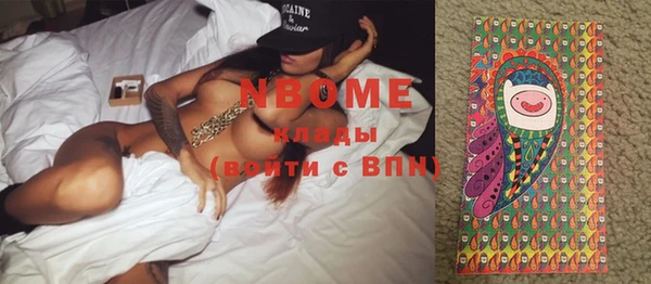 молекула духа Вяземский