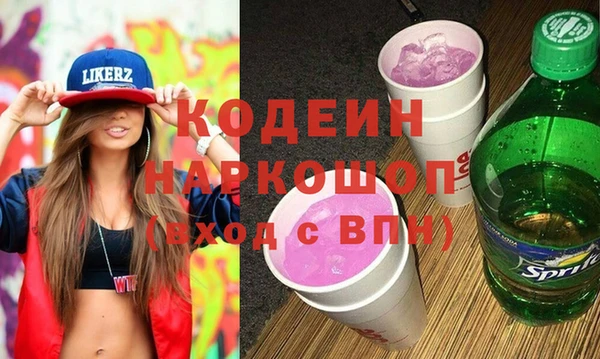 молекула духа Вяземский