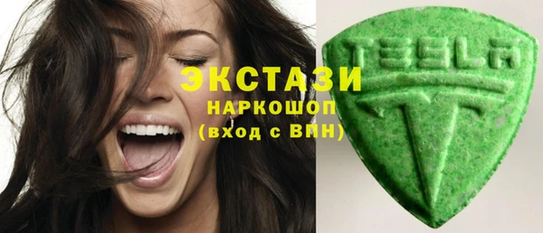 молекула духа Вяземский